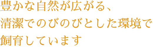 豊かな自然と清潔な環境のもと飼育しています