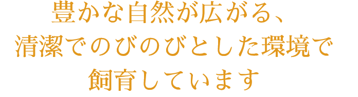 豊かな自然と清潔な環境のもと飼育しています